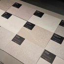 신한NS | 반셀입문자 환영/회벽화이트,회벽크림화이트 에디톤 솔티크림,솔티애쉬 색상비교/강남영림쇼룸,LX...