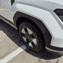 대왕카프라자 이미지