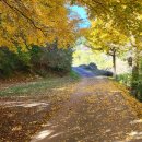 편백하우스 이미지