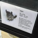 인형방 | 전주 근교 김제 단짠아쿠아 지하 1층 오픈예정 방문 후기