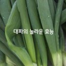 대파의 놀라운 효능 이미지