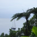 남태평양 환상의 섬 바누아투-폰페이-괌-사이판-일본-부산 70피트 Advanture Sailing 요트 항해 참가자 모집 이미지