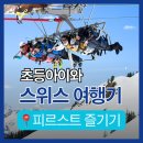카피스트 | 융프라우 vip패스 겨울 혜택 정리 | 피르스트 액티비티 2종 무료 후기
