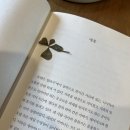 포레스틴 | 제주/애월 : 포레스틴, 숲과 바다 뷰를 가진 책 읽기 좋은 조용한 카페