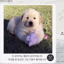 절세하랑 | 7월(1)