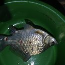 마송 당구장 이미지