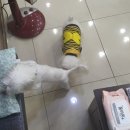 이가을헤어샵