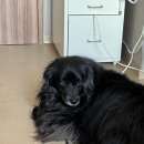 민지네방앗간 | 2월의 모든 일상 마무리