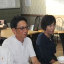 반도콜라택 이미지