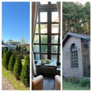 (주)묵호택시 | [동해묵호] 카페 현상소 (분위기 좋은 묵호카페 뚜벅이로 가기, 택시타고 내돈내산 솔직후기, 단호박...