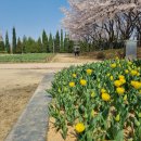 해찬솔공원 이미지