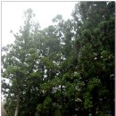 선암사매표소_매표소 이미지