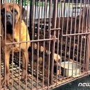 소이농장 이미지