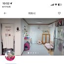 펫플래닛 | 내 돈 내산 펫시터 어플 펫 플래닛 이용후기