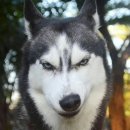 중앙시장(동) 이미지