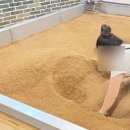 성오빌딩 | 수원 화서 효소찜질 내돈내산 후기