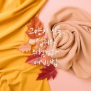 아이비 동물병원 | 의정부동물병원 고양이 식물먹기 위험한가