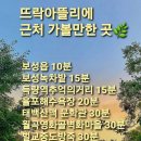 스잔이네통닭 이미지