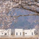 강아지풀애견펜션 이미지