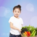 알찬지혜학원