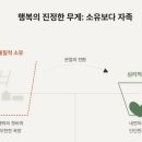 제주의 이유 티스토리