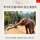 푸꾸옥 빈펄사파리 꿀팁 동선 최종 정리 2탄 이것만 봐도 됨.