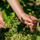 자연은동물병원 이미지