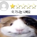 하치