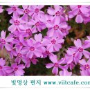 2012.04.26 대구 시민들과 함께 한 지구의 날 기념 "지구를 위한 빛명상 이미지