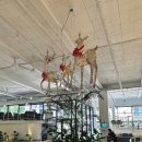 더플로우 이미지