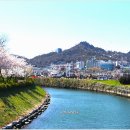 삼학도 Daum카페