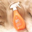 메리도그 이미지