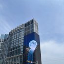세림수입매장 | 부산 해운대 여행 2박3일 뚜벅이로 즐긴 코스 아쿠아리움해운대 시장 호캉스(맛집, 숙소, 소품샵, 카페...