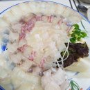 벽강물회 이미지