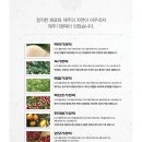 [제주기정떡 이벤트]국산팥을 직접 끓여 만드는 앙꼬기정떡+혼합기정떡!! 이미지