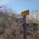 내곡1리 이미지