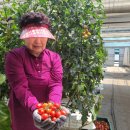 선경농장 이미지