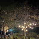 으뜸관 | 강원도 팜트래블 횡성 고라데이마을 펜션 정보 및 체험 프로그램 솔직후기