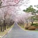 MOON스크린골프 이미지