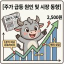 엠케이글로벌투어