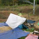 유기농장 이미지