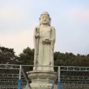 팔공산녹색길 숲길 3코스 | 대구 절 팔공산 둘레길 가볼만한곳 대구 동화사 조용한절 추천