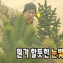 #w.2 [베리굿웨딩] 플래너 계약 후기 _베리굿_드메견적