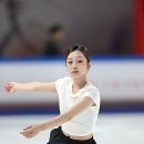 신지아 카카오 검색결과
