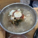 은행나무갈매기 이미지