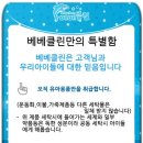 클린베베