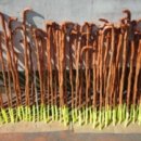 쌍림면사무소 이미지