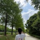 담양읍사무소 | [담양] 담양군청 무료자전거타고 관방제림🚲