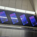 K헌터스태권도 이미지