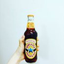 에스에이에이 이미지